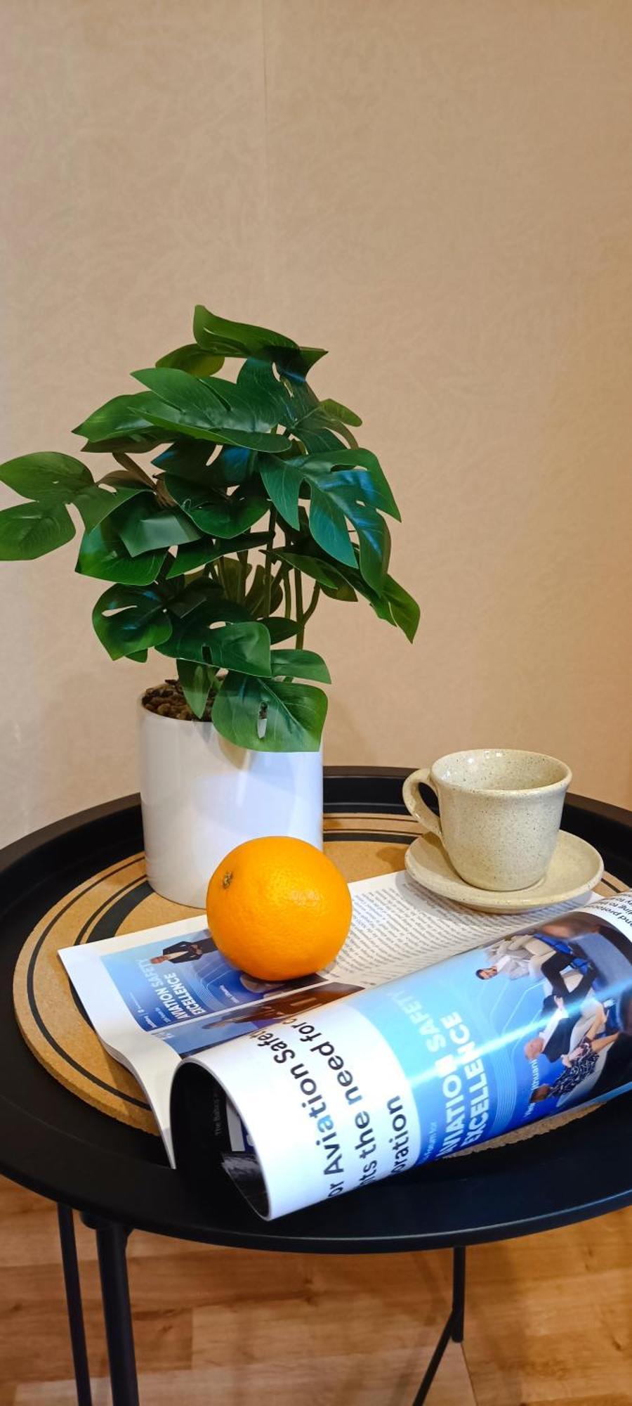 Historic Old Town Escape Cozy 2 Bedrooms Perfect Location Appartement